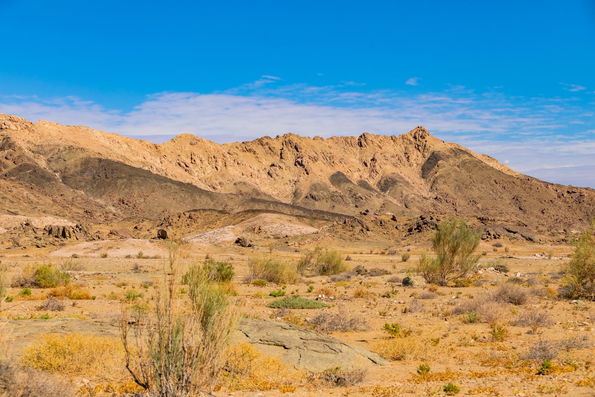 Richtersveld Desert