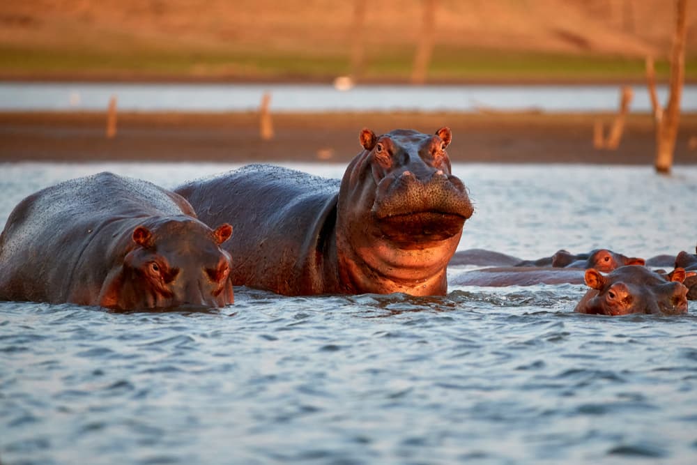 Lake Kariba
